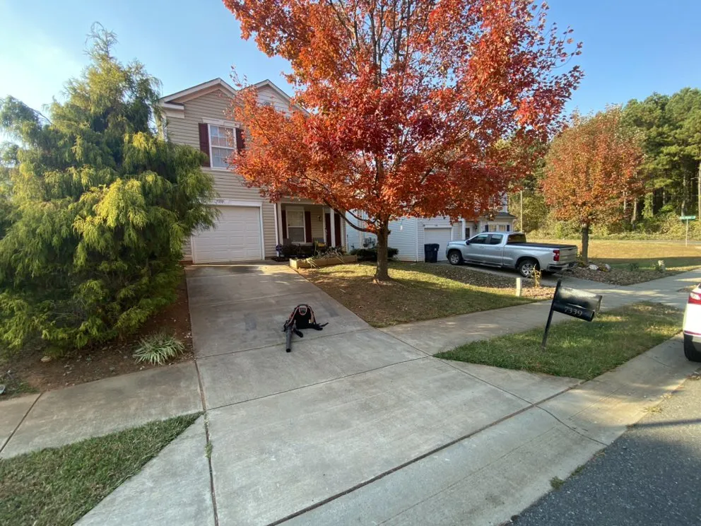 Expert landscaping services in Charlotte, NC - Northern Creole