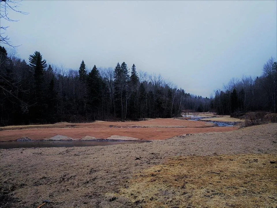 Trusted lawn care service for homes in Esko, MN by Northern Ecological Services