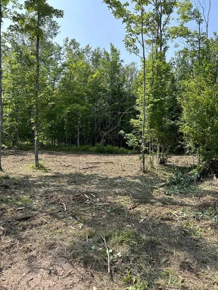 Top-rated landscape design in L'Anse, MI - Northern Edge Land Management