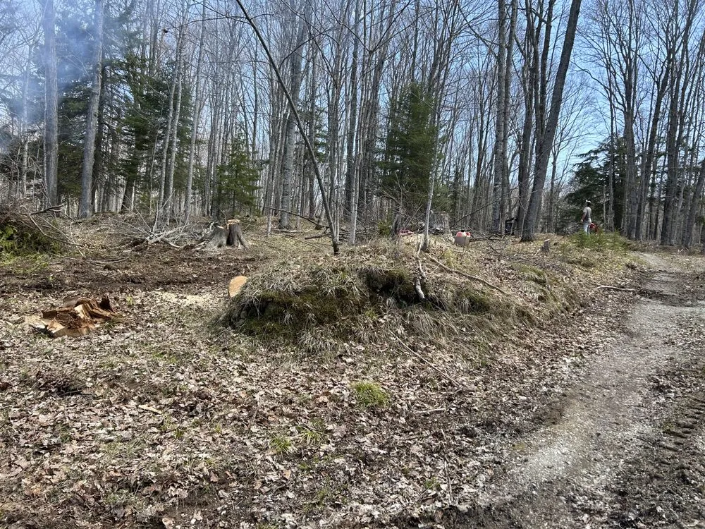 Trusted landscape installation in L'Anse, MI by Northern Edge Land Management