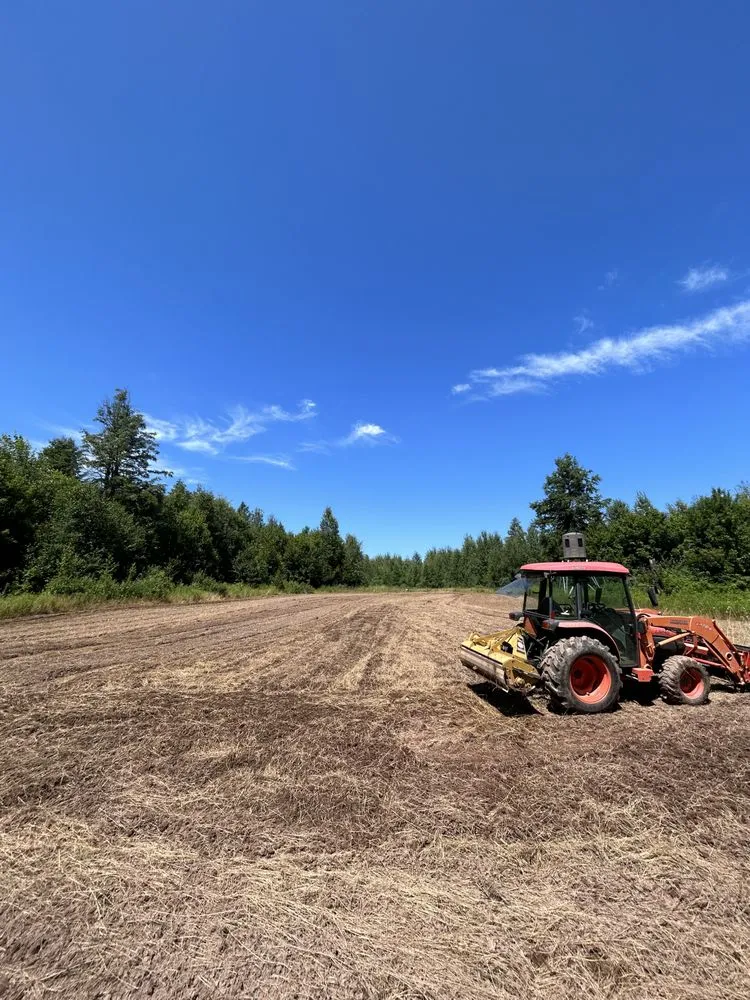 Top-rated yard maintenance for outdoor upgrades across L'Anse, MI - Northern Edge Land Management