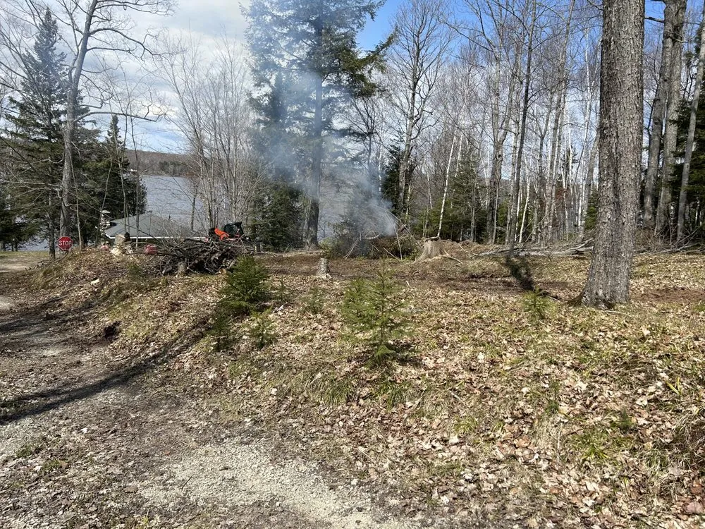 Local residential landscaping for year-round maintenance across L'Anse, MI - Northern Edge Land Management