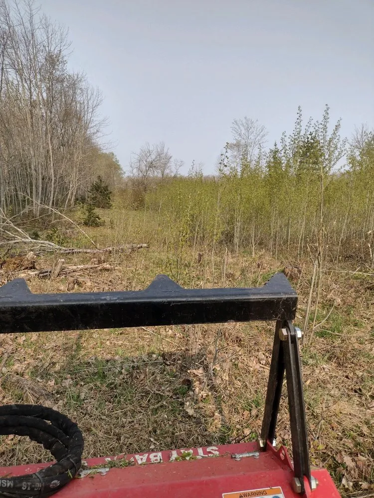 Expert outdoor landscaping in L'Anse, MI by Northern Edge Land Management
