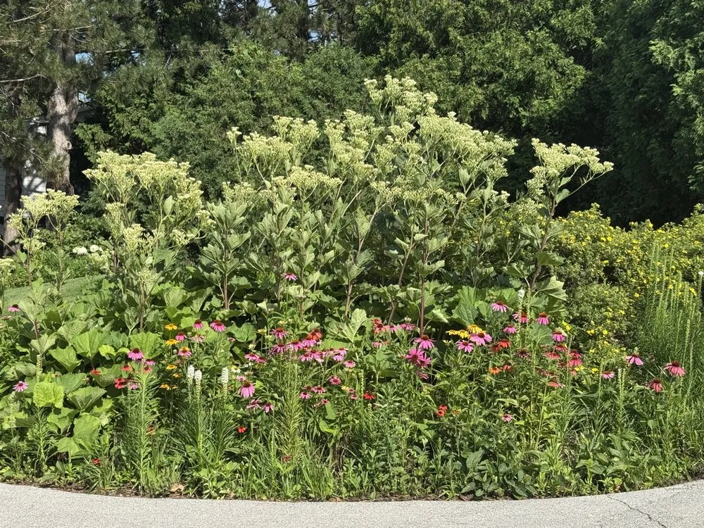 Expert yard maintenance in Mequon, WI - Northern Exposure Landscaping