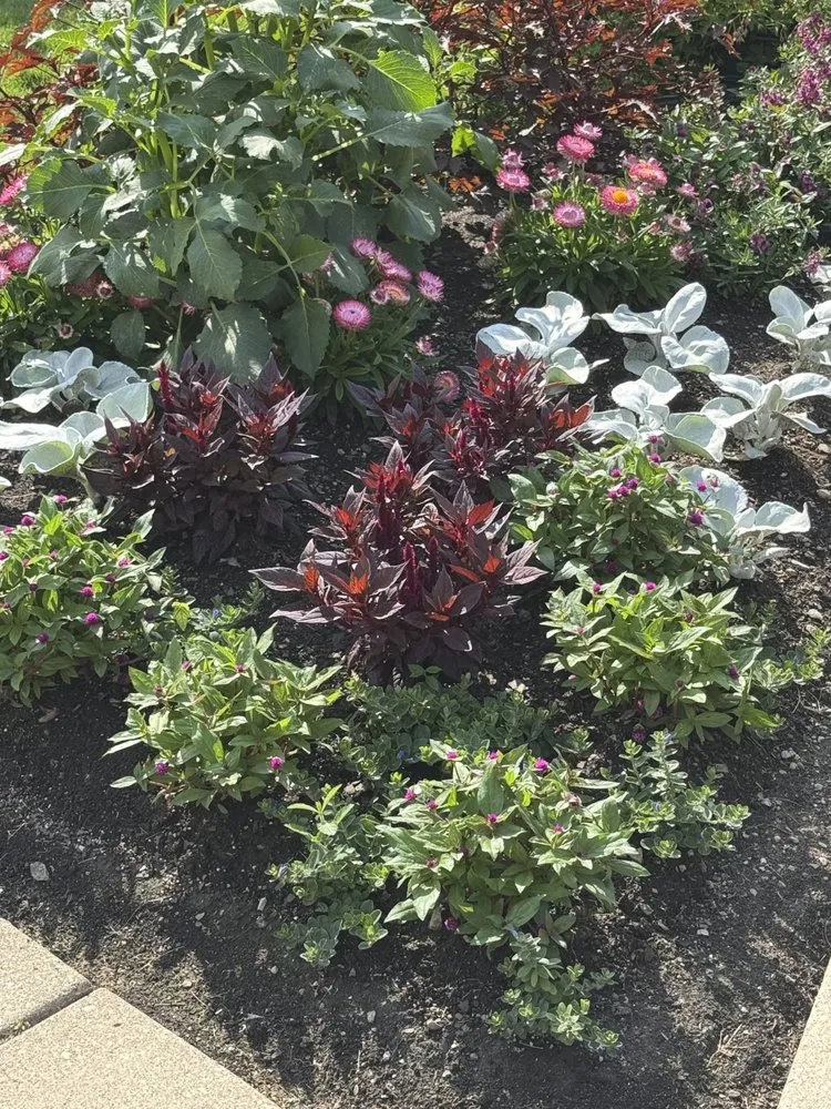 Expert lawn care service near you across Mequon, WI - Northern Exposure Landscaping