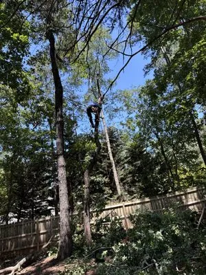 Northern Georgia Outdoor Solutionz