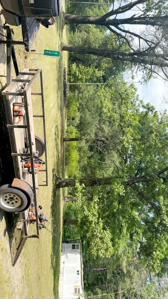 Local yard cleanup service for residential properties in Sand Lake, MI by Northern Grass Lawn and Landscape