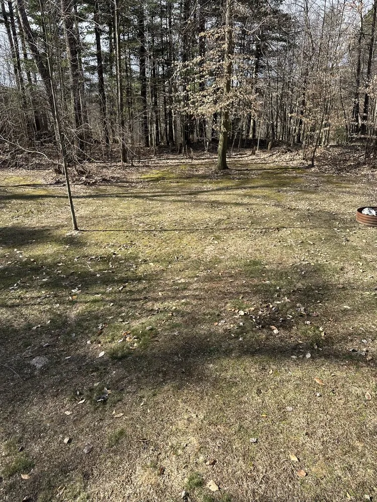 Professional yard maintenance in Sand Lake, MI - Northern Grass Lawn and Landscape
