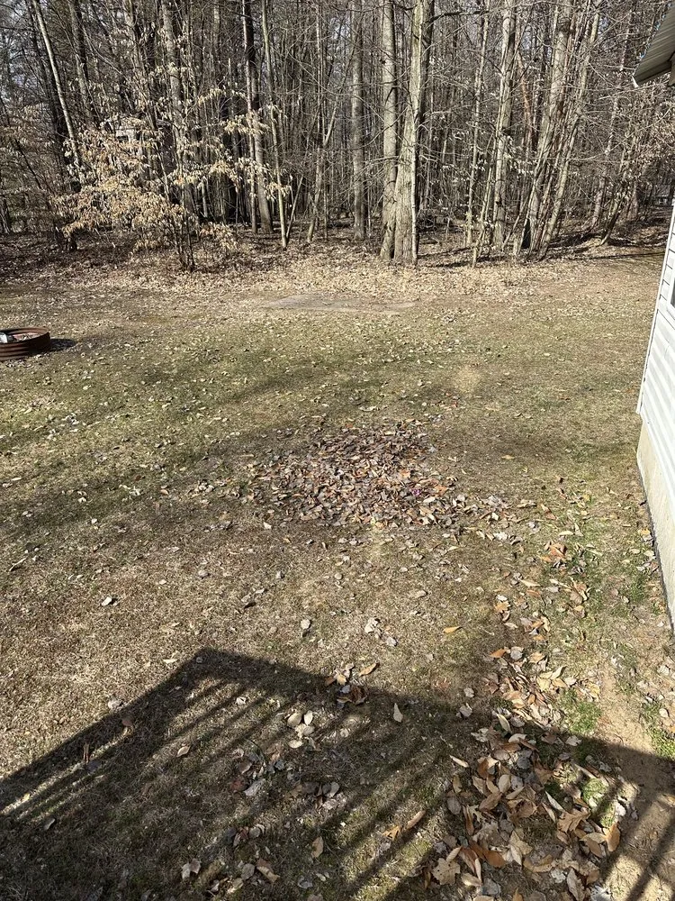 Affordable landscaping services experts serving Sand Lake, MI - Northern Grass Lawn and Landscape