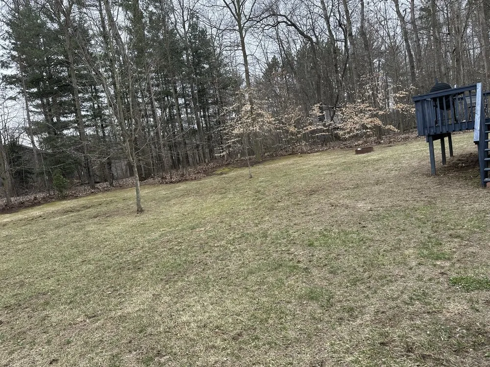 Expert landscaping services for year-round maintenance in Sand Lake, MI by Northern Grass Lawn and Landscape