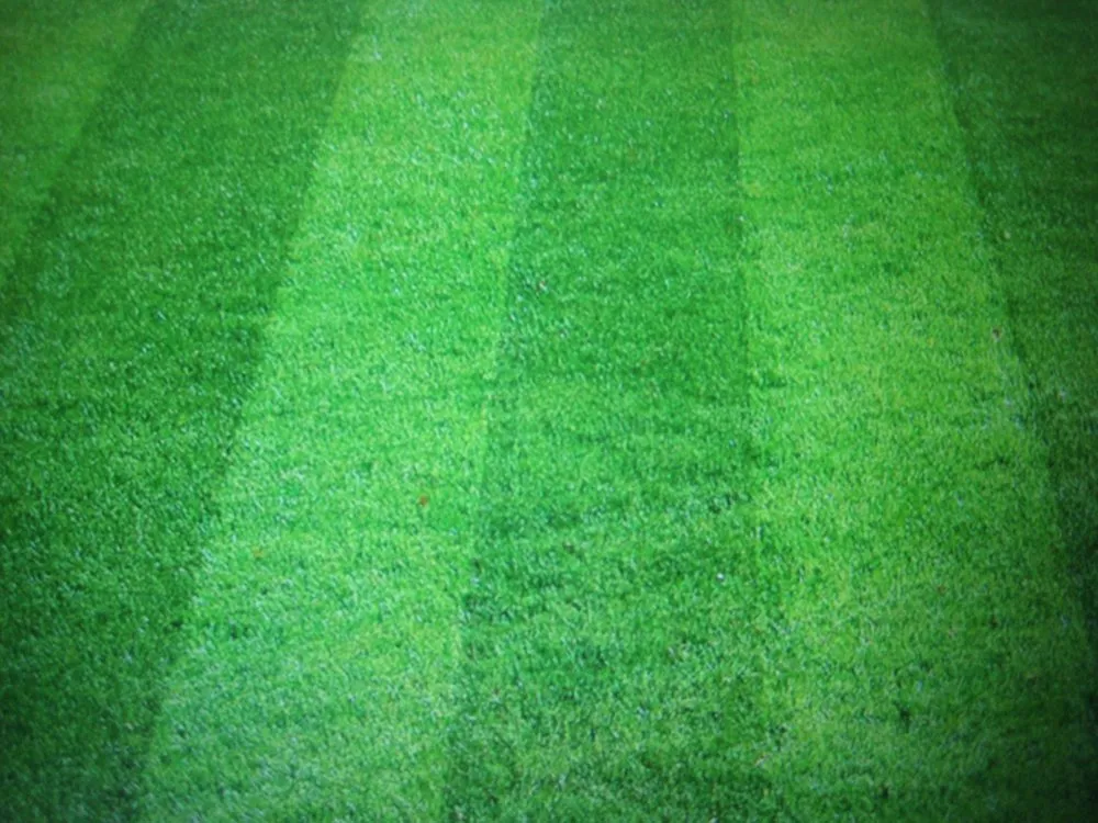 Top-rated landscape installation in Danvers, MA - Northern Greenscapes