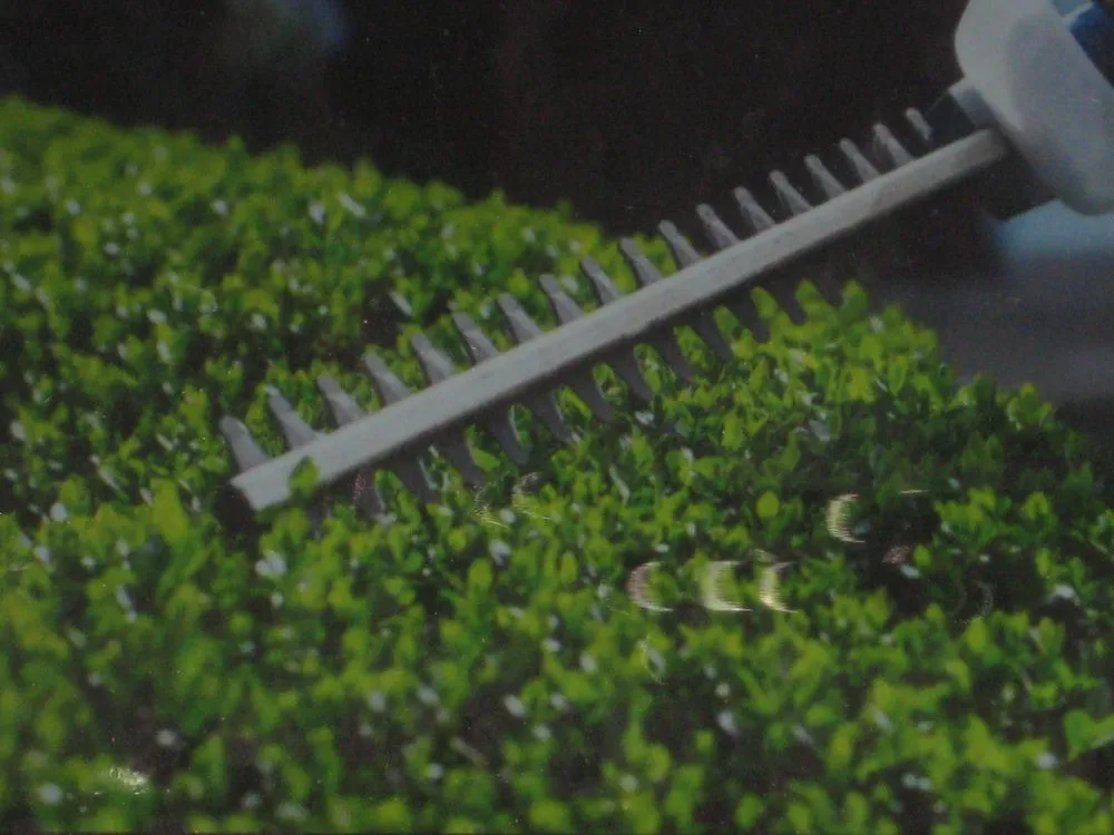 Affordable residential landscaping for beautiful yards in Danvers, MA by Northern Greenscapes