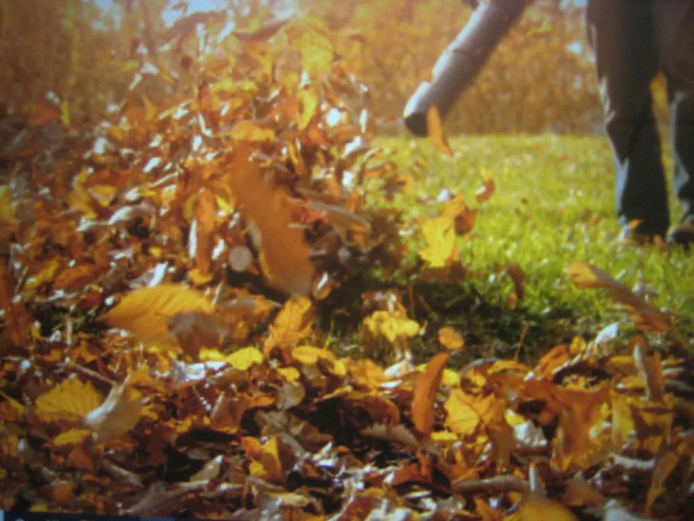 Top-rated yard cleanup service near you in Danvers, MA by Northern Greenscapes