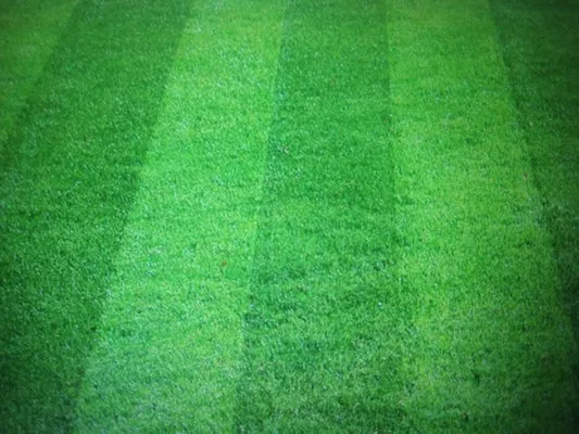 Northern Greenscapes Logo