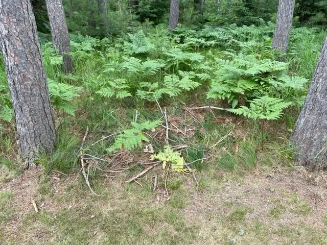 Top-rated landscape design in Eagle River, WI by Northern Lakes Landscaping