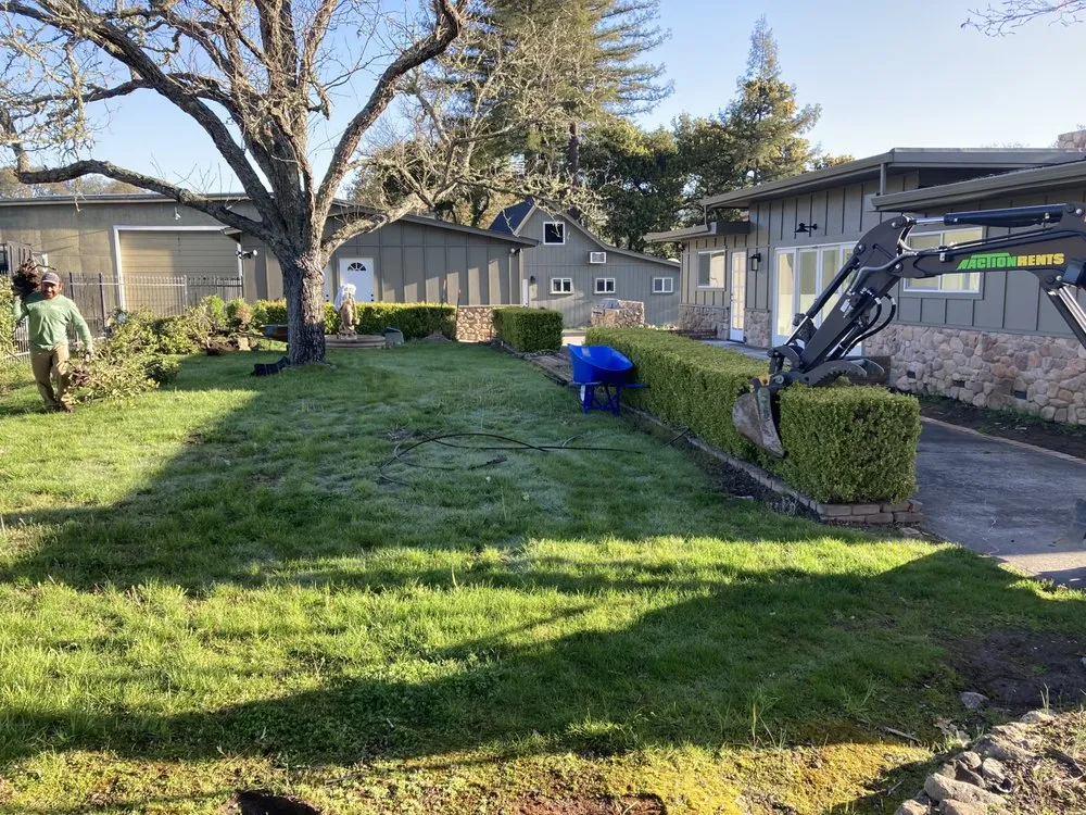 Reliable lawn care service experts serving Healdsburg, CA - Northern Land Care & Maintenance