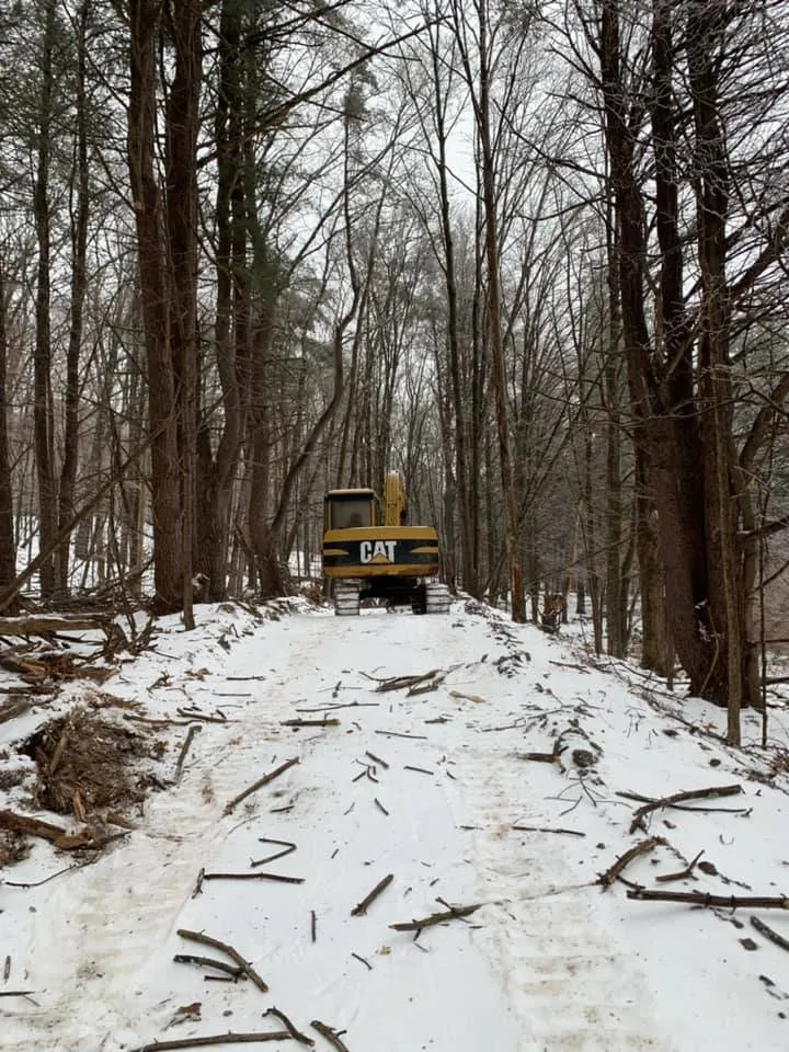 Expert landscaping services for year-round maintenance across Nassau, NY - Northern Landscape & Excavation