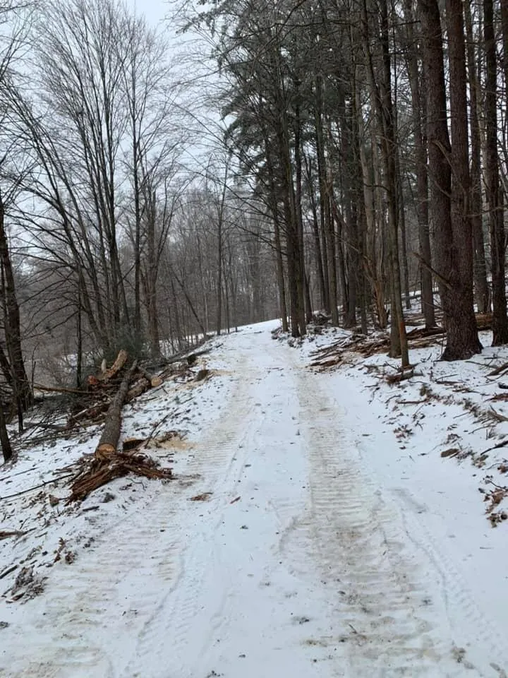 Reliable yard maintenance in Nassau, NY - Northern Landscape & Excavation