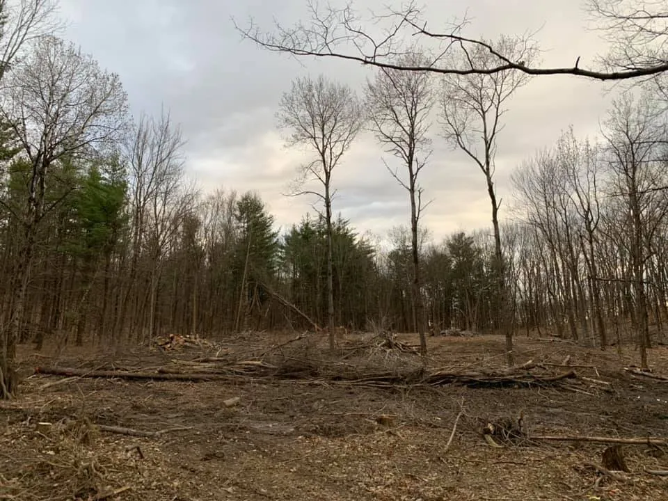 Reliable yard cleanup service in Nassau, NY - Northern Landscape & Excavation