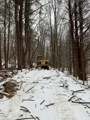Northern Landscape & Excavation Logo