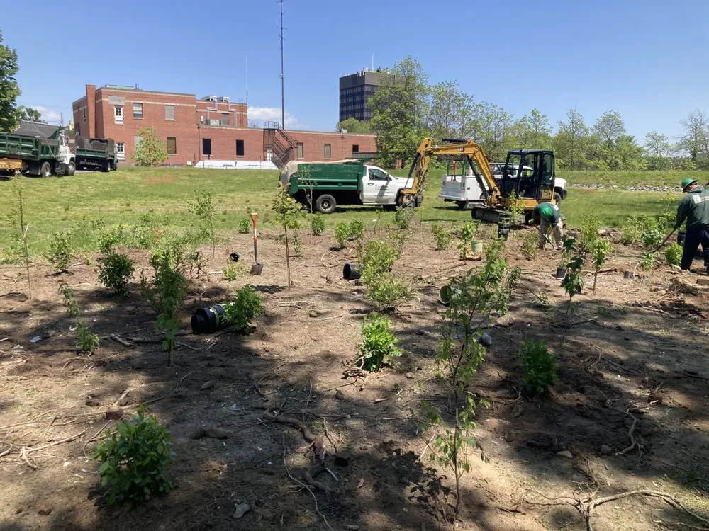 Custom landscape installation in Chepachet, RI - Northern Landscape