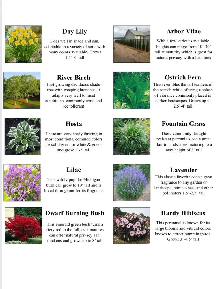 Expert landscaping services experts serving Indian River, MI - Northern Landscape