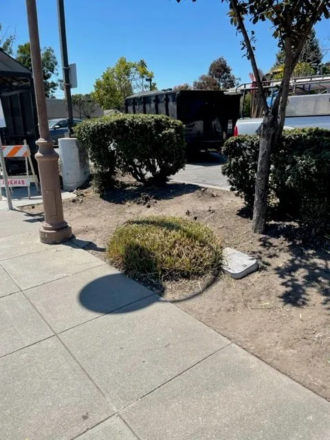 Top-rated lawn care service experts serving San Leandro, CA - Northern Landscape Management