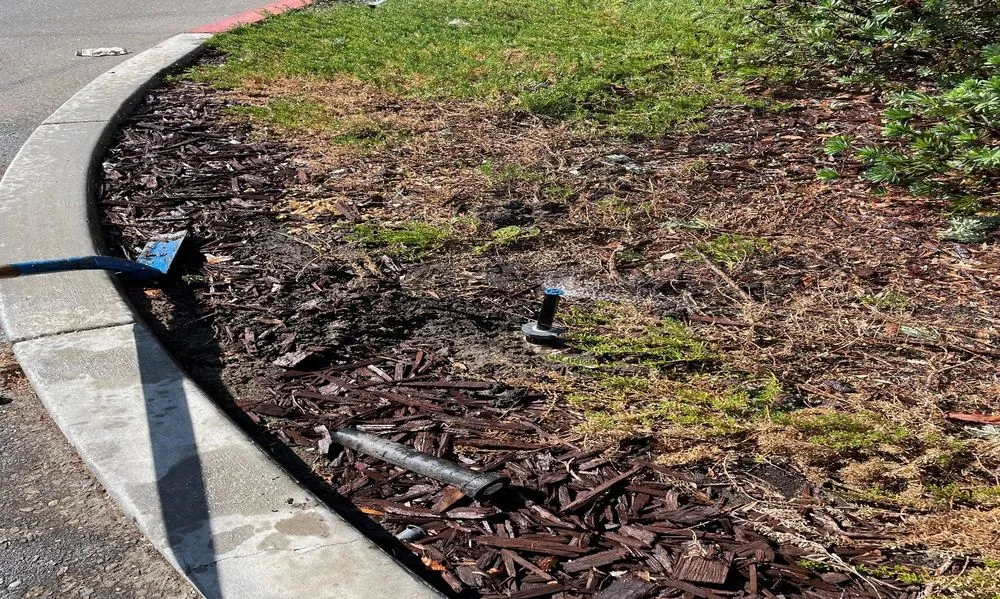 Top-rated landscape design experts serving San Leandro, CA - Northern Landscape Management