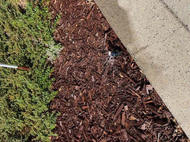 Top-rated residential landscaping in San Leandro, CA - Northern Landscape Management