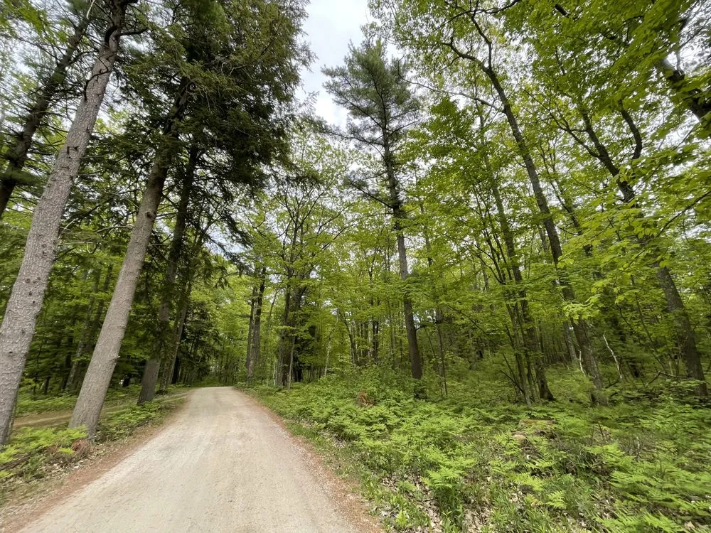 Reliable landscaping services for outdoor upgrades in Sturgeon Bay, WI by Northern Landworks