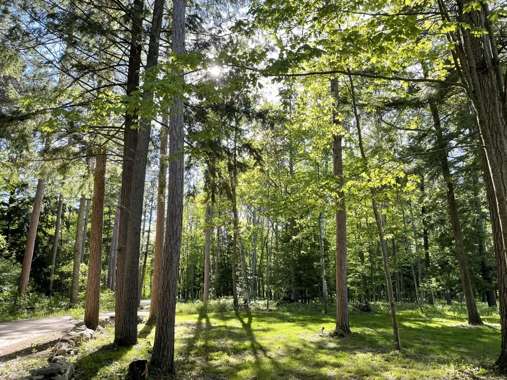 Reliable lawn care service in Sturgeon Bay, WI - Northern Landworks