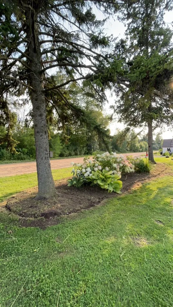Professional yard maintenance in Ortonville, MI - Northern Lawn & Tree Services
