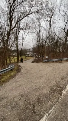 Northern Lawn & Tree Services Logo