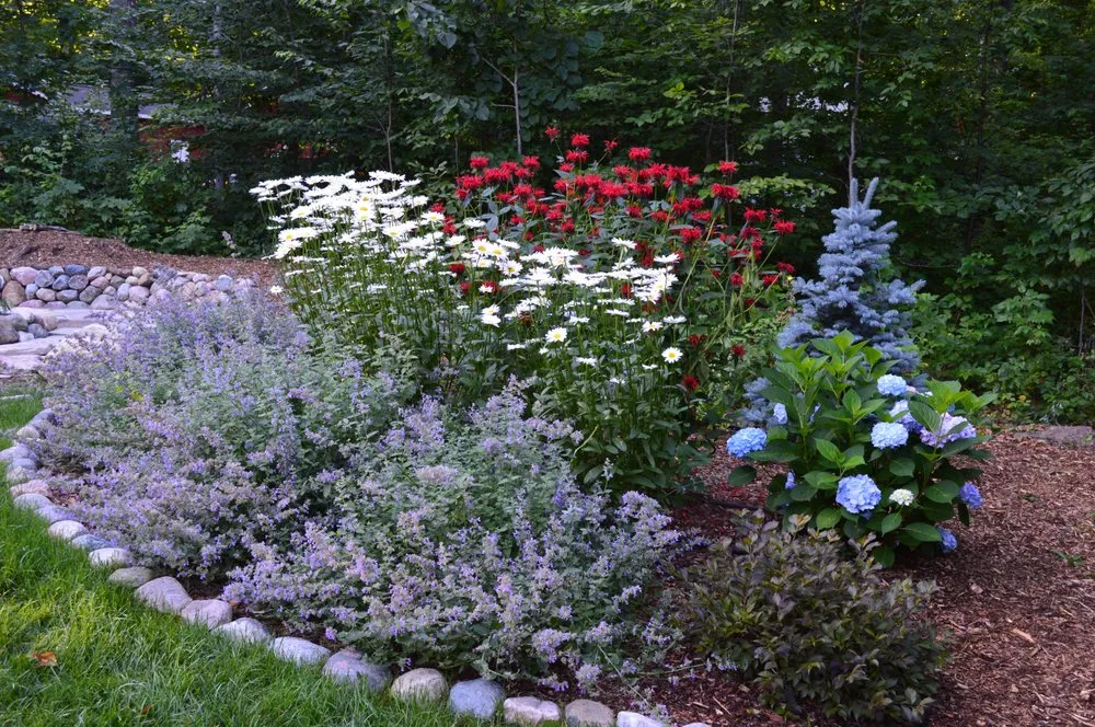 Expert yard maintenance in Maple City, MI by Northern Lawn Maintenance & Resort Services