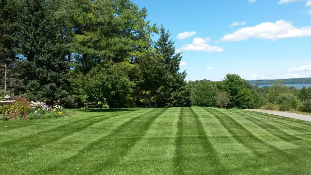 Top-rated outdoor landscaping in Maple City, MI by Northern Lawn Maintenance & Resort Services