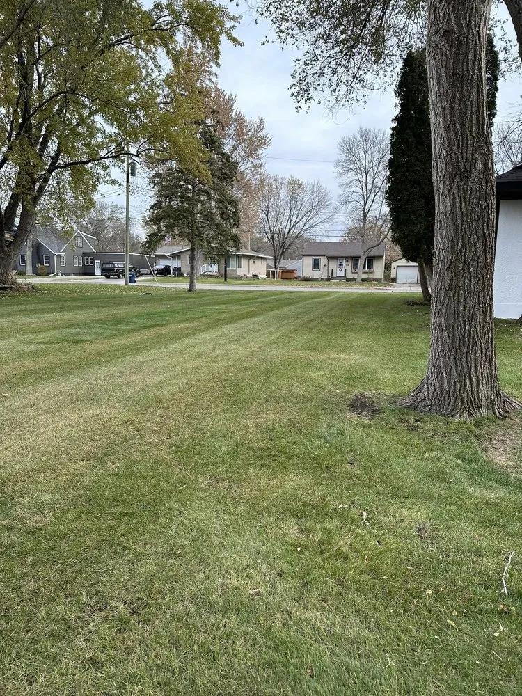Local yard maintenance for residential properties in Sartell, MN by Northern Lawn Service