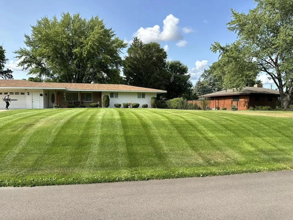 Professional yard cleanup service experts serving Sartell, MN - Northern Lawn Service