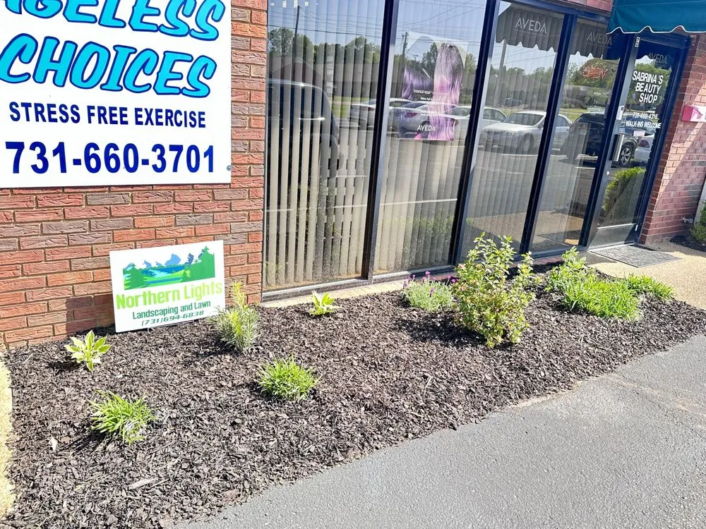 Trusted lawn care service experts serving Jackson, TN - Northern Lights Landscaping and Lawn