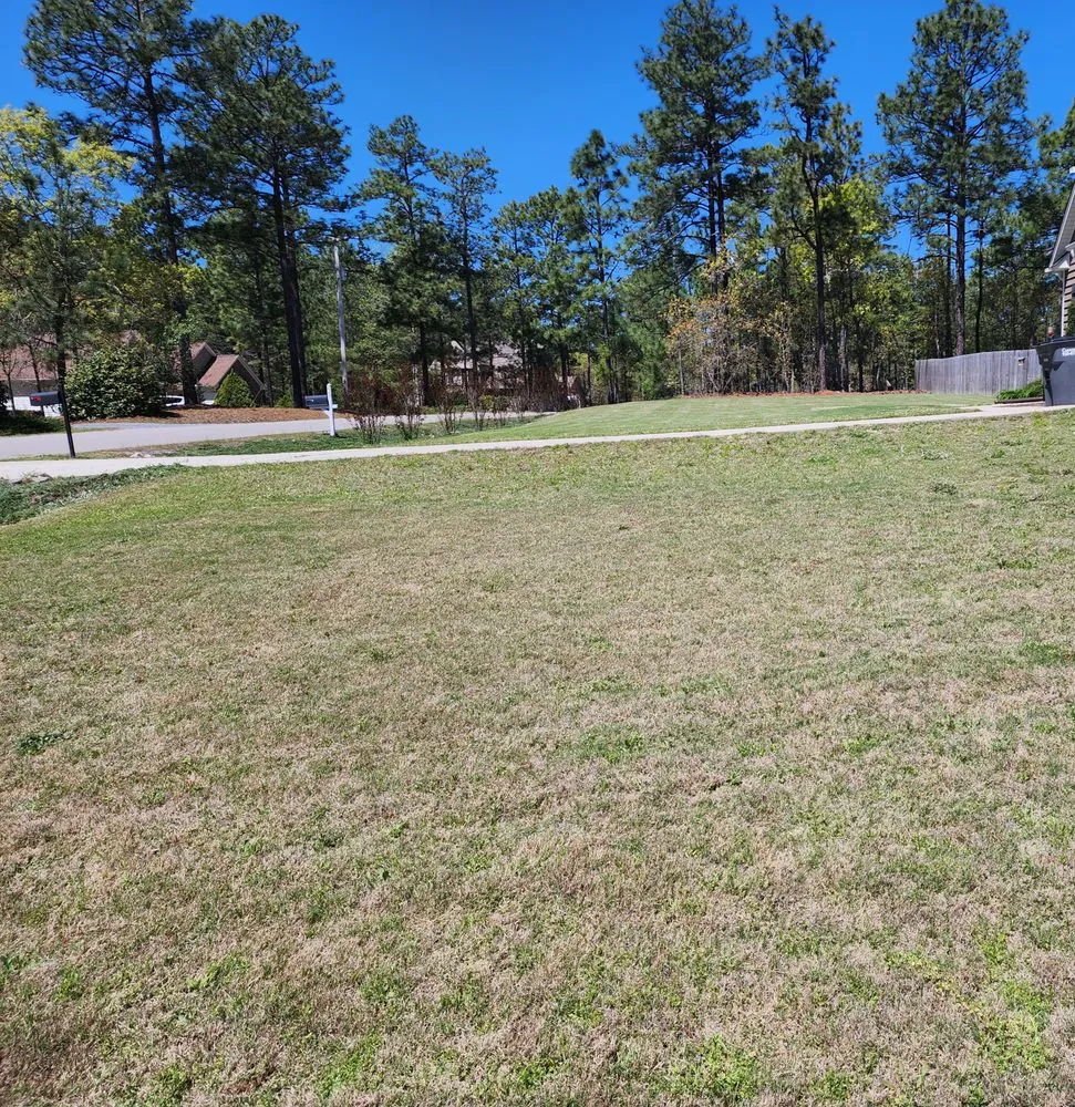 Top-rated outdoor landscaping near you in Robbins, NC by Northern Moore Lawncare