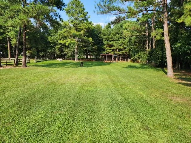 Top-rated outdoor landscaping in Robbins, NC - Northern Moore Lawncare