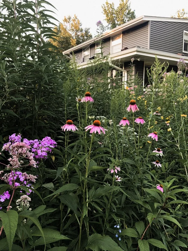 Reliable lawn mowing service with custom design across Saint Paul, MN - Northern Natural Gardens