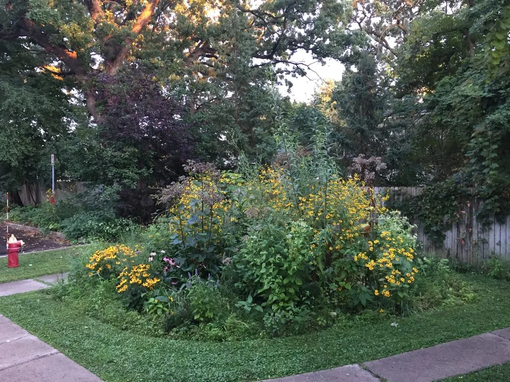 Local yard maintenance experts serving Saint Paul, MN - Northern Natural Gardens