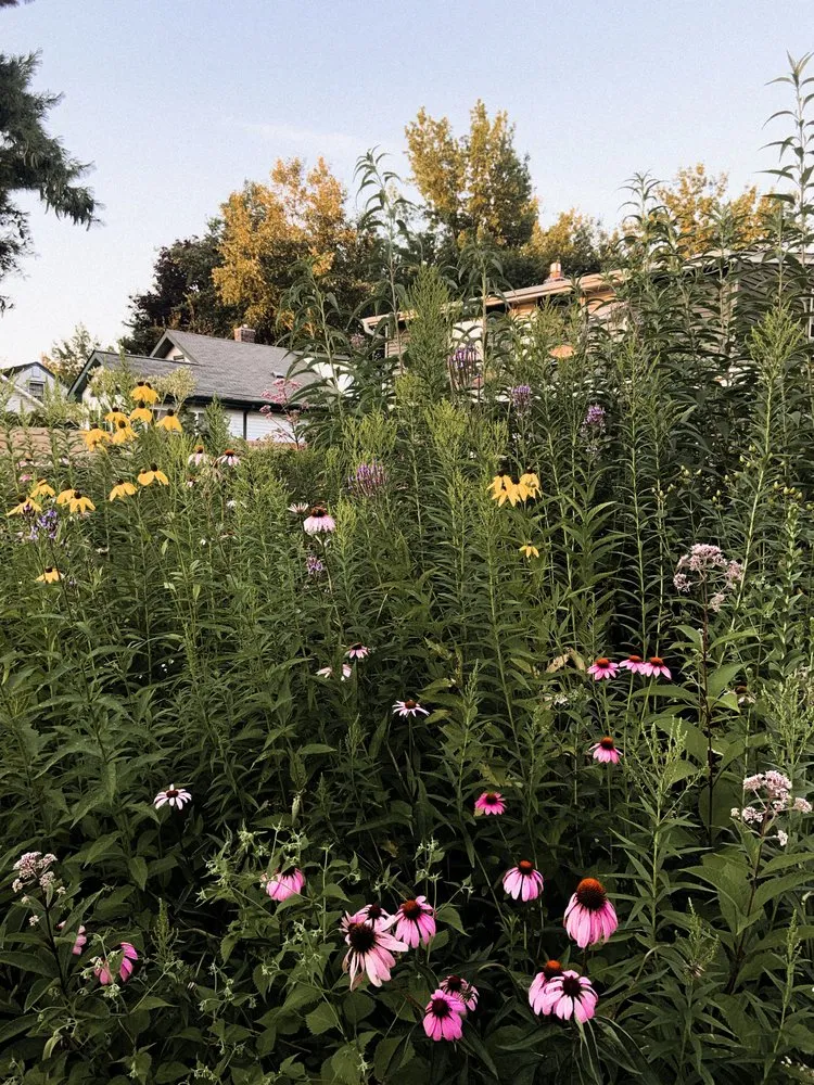 Expert landscape design in Saint Paul, MN by Northern Natural Gardens