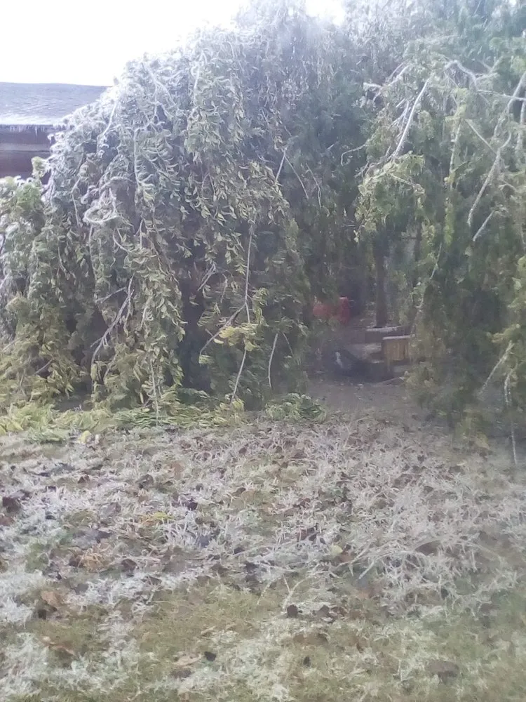 Reliable landscaping services with custom design across Ponca City, OK - Northern Oklahoma Lawn Care Services