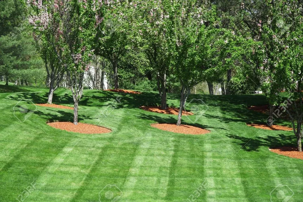 Reliable landscape installation in Marietta, GA - Northern Premium Landscaping