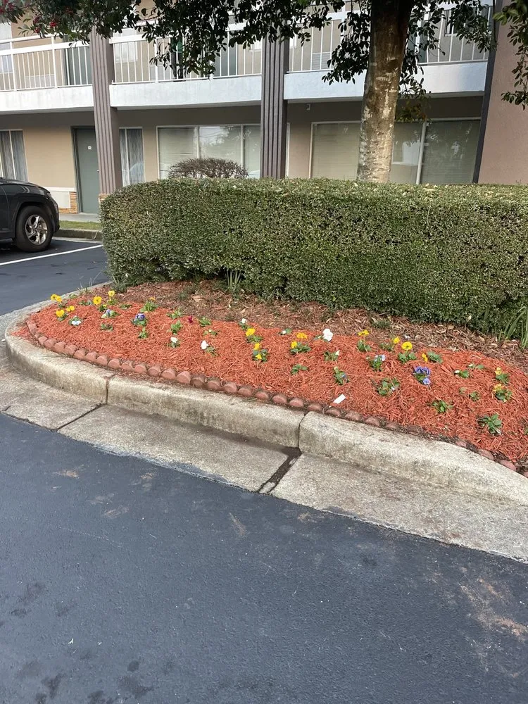 Trusted yard cleanup service for beautiful yards across Marietta, GA - Northern Premium Landscaping