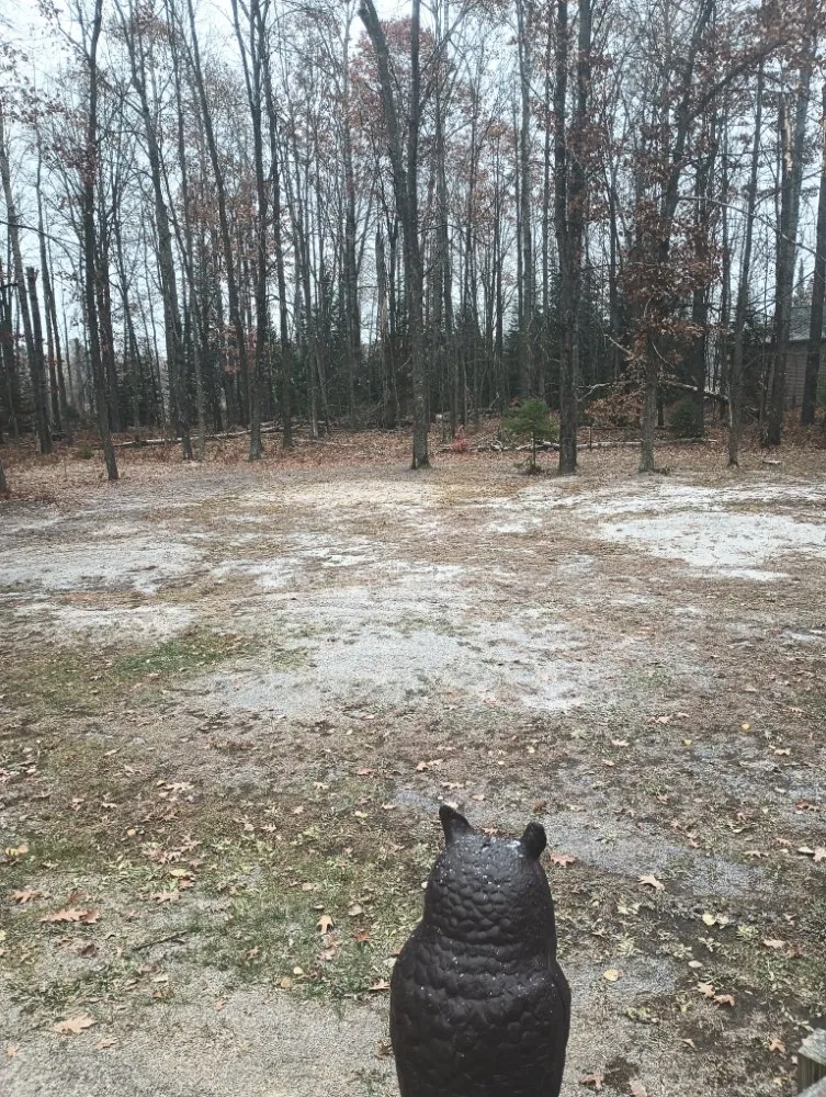 Trusted garden landscaping near you in Lake, MI by Northern Roots Stump Grinding
