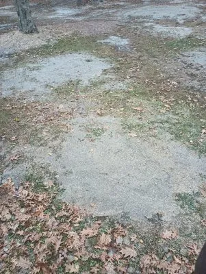 Northern Roots Stump Grinding