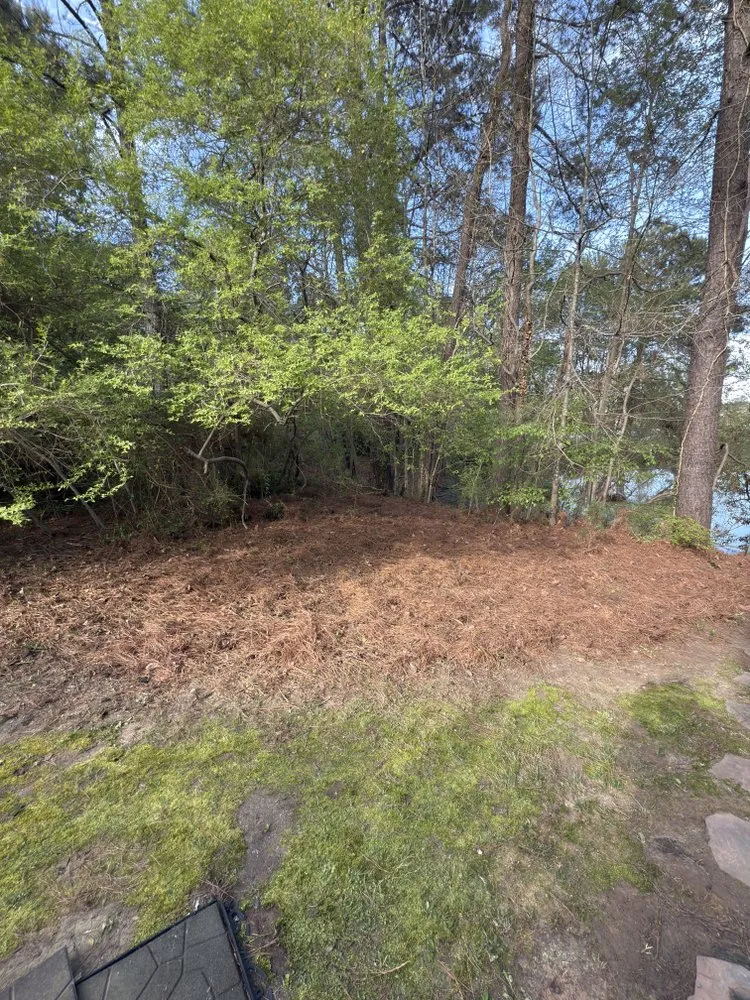 Top-rated residential landscaping for residential properties in Raleigh, NC by Northern Seasons Landscaping