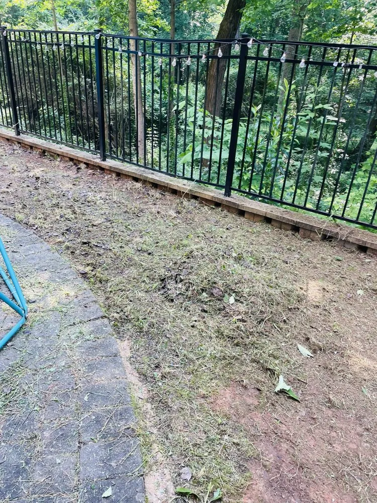 Affordable landscape design experts serving Raleigh, NC - Northern Seasons Landscaping